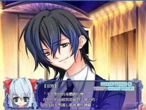 月下绮谭的小说目录