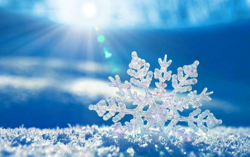 一片一片又一片，两片三片四五片，六片七片八九片，飞入河里看不见。谜底是？