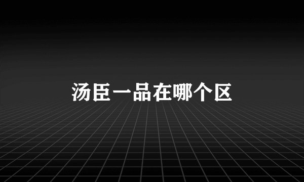 汤臣一品在哪个区
