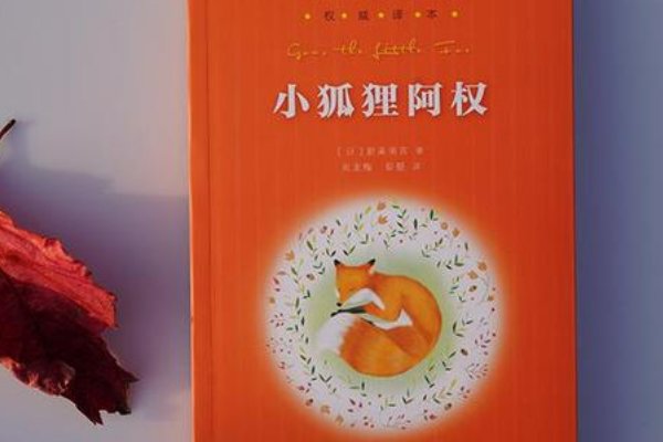 小狐狸阿权是一个什么样的人