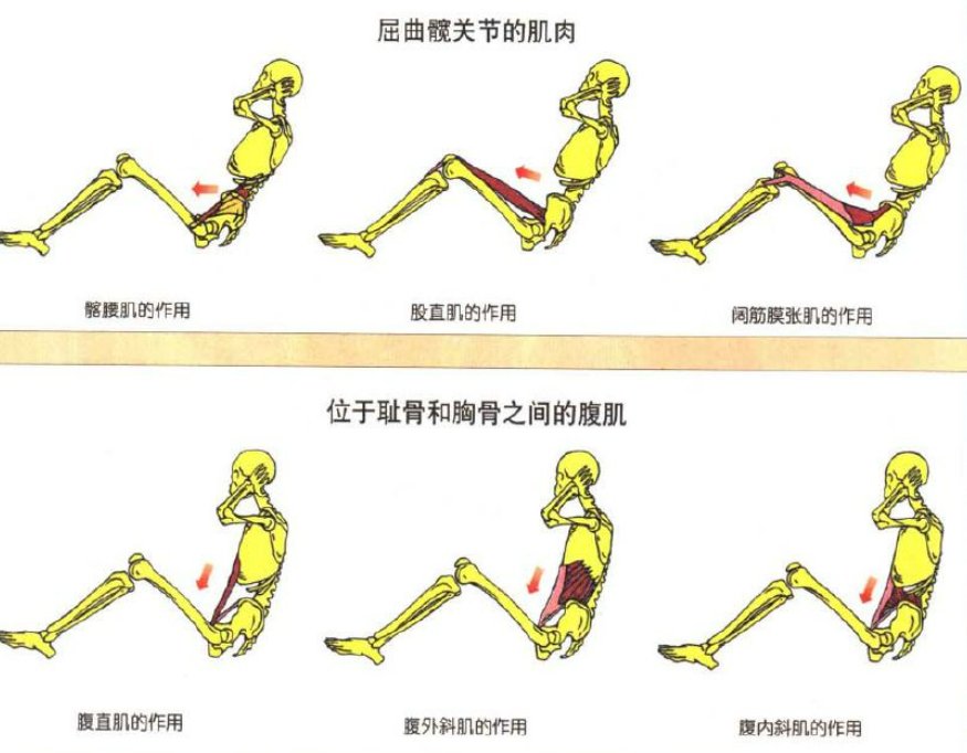 佐藤政信的方法