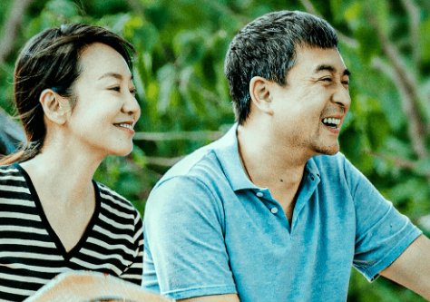 闫妮张嘉译合作的电视剧