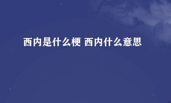 西内是什么梗 西内什么意思