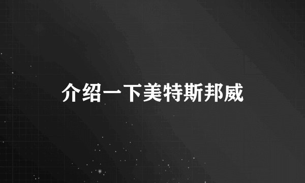 介绍一下美特斯邦威
