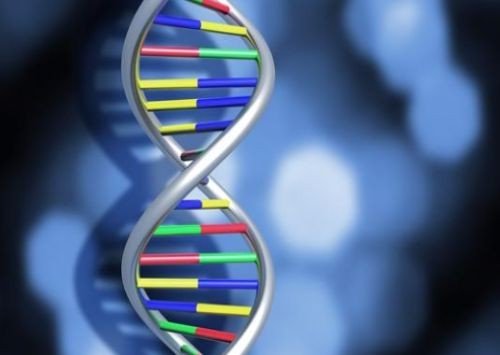 聚合度是什么？