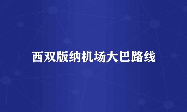 西双版纳机场大巴路线