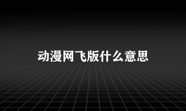 动漫网飞版什么意思