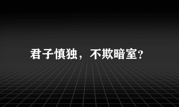 君子慎独，不欺暗室？