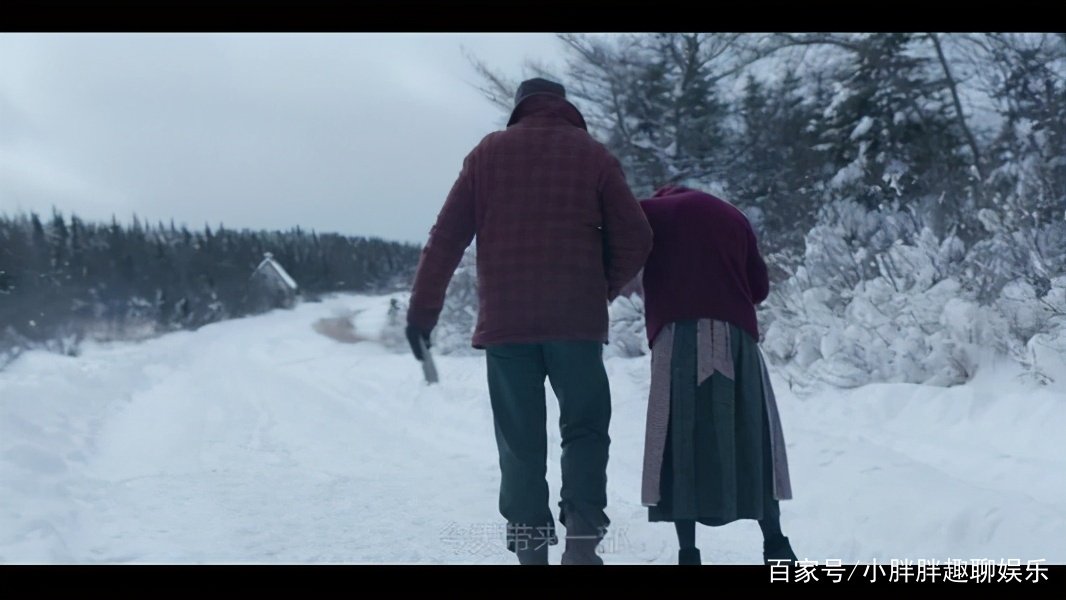 震撼人心《沙漠之花》，究竟讲了些什么？