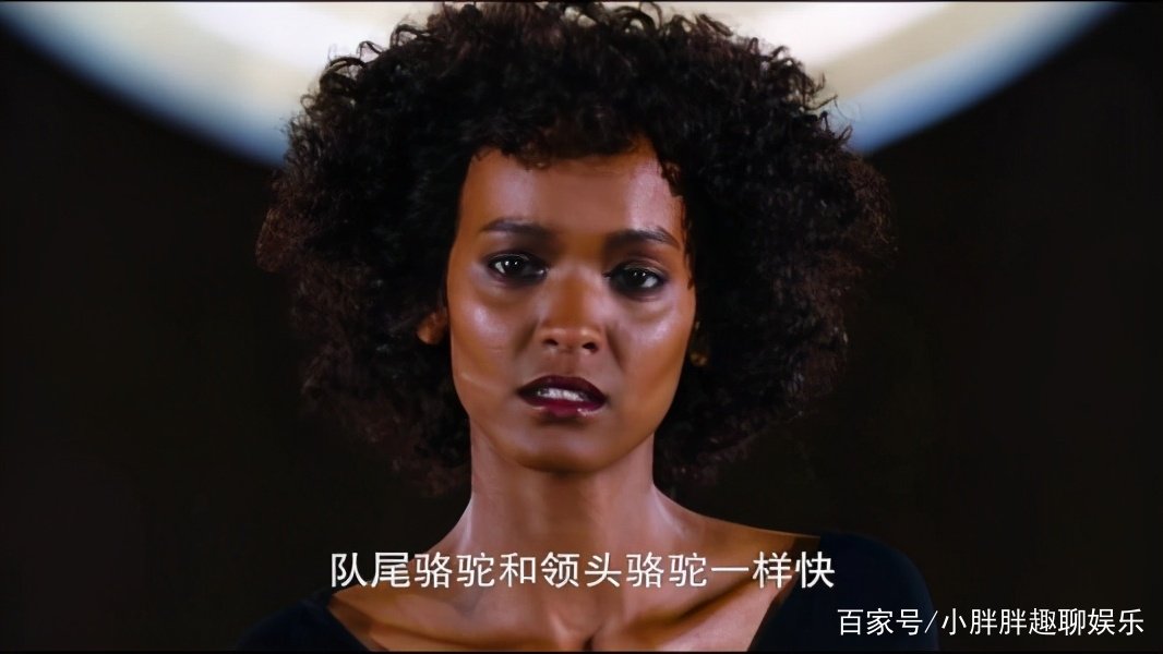 震撼人心《沙漠之花》，究竟讲了些什么？