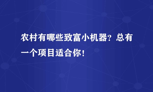 农村有哪些致富小机器？总有一个项目适合你！