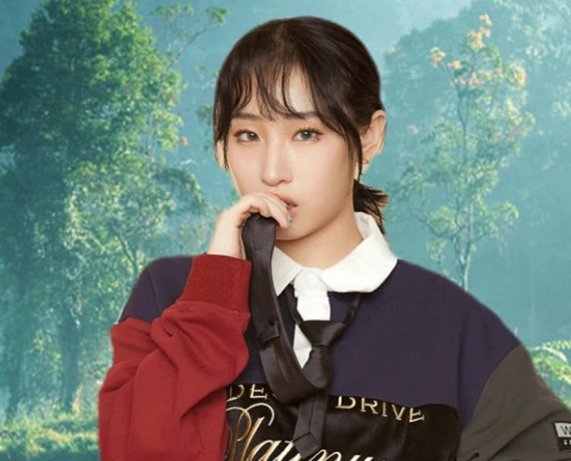 白月光与朱砂痣原唱