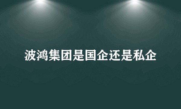 波鸿集团是国企还是私企