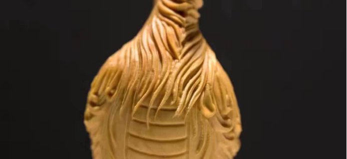 黄杨木属于什么档次的木材？