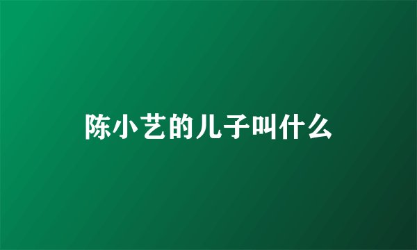 陈小艺的儿子叫什么