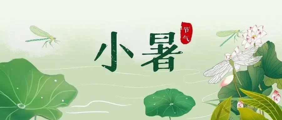 小暑是入伏吗