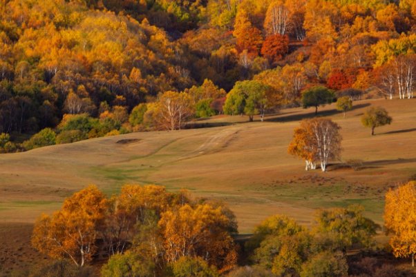 秋色是什么意思