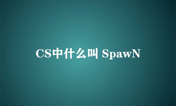 CS中什么叫 SpawN
