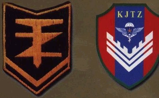 西南猎鹰的介绍