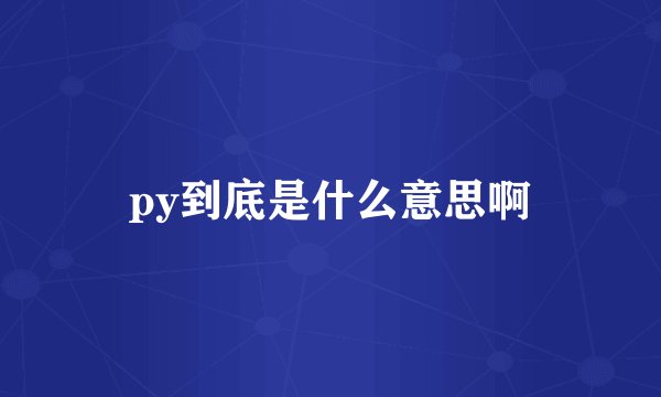 py到底是什么意思啊