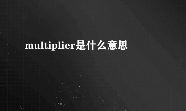 multiplier是什么意思