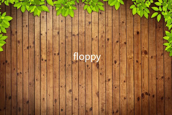 floppy什么意思啊
