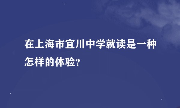 在上海市宜川中学就读是一种怎样的体验？