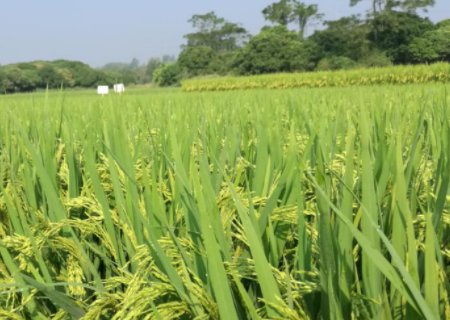 8203是什么意思？