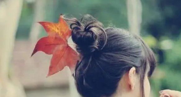 小清新是什么意思啊