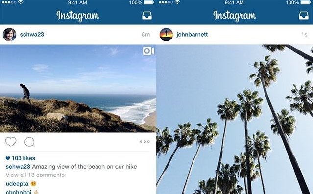 ig是什么意思？