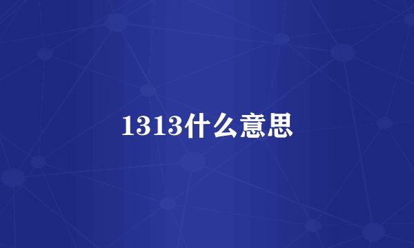 1313什么意思