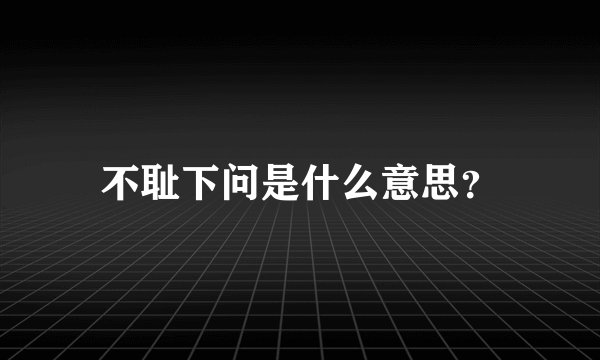 不耻下问是什么意思？