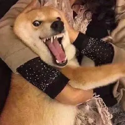 有什么霸气的情侣头像？