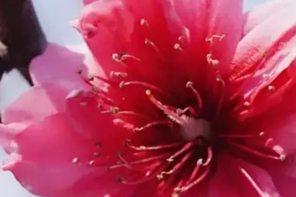 心灵闪过的微光 什么意思?