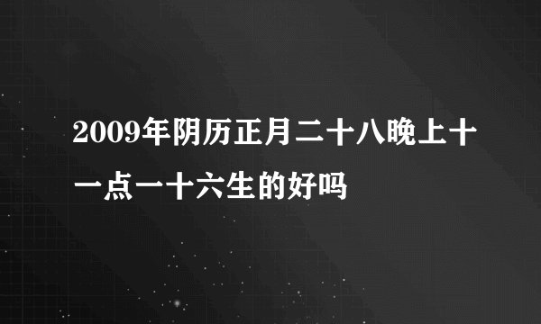 2009年阴历正月二十八晚上十一点一十六生的好吗