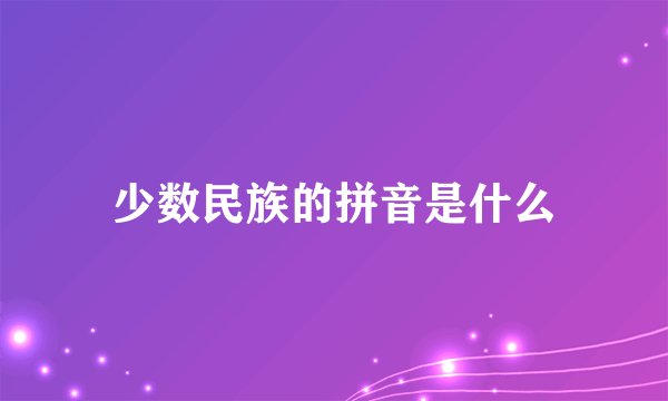 少数民族的拼音是什么
