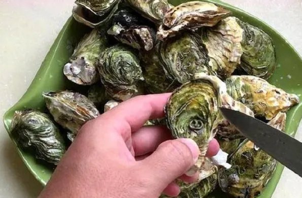 生蚝怎么打开