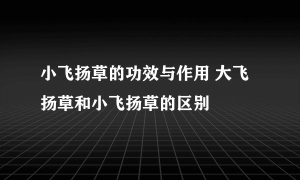 小飞扬草的功效与作用 大飞扬草和小飞扬草的区别