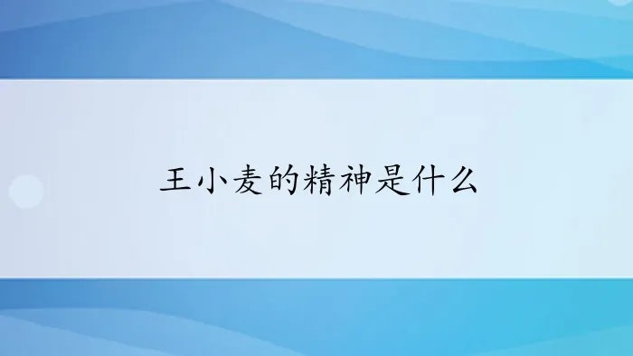 王小麦的精神是什么