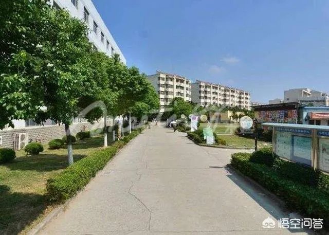 南京中医药大学怎么样？