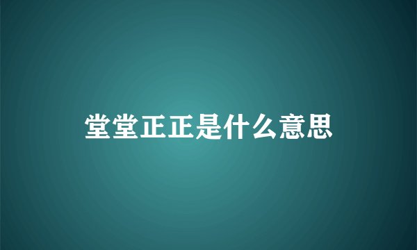 堂堂正正是什么意思