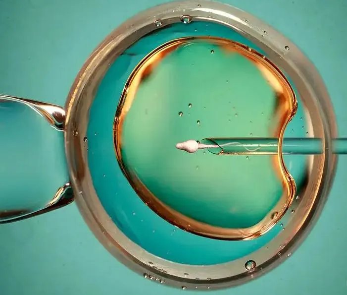 温州供卵试管-2023年温州医科大学附属第一医院能不能做供精试管婴儿？附浙江试管婴儿医院排名