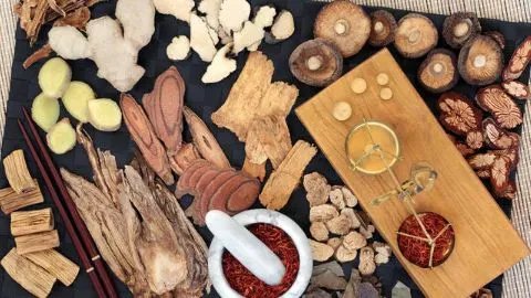 补脾益肠丸的功效