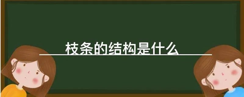 枝条的结构是什么