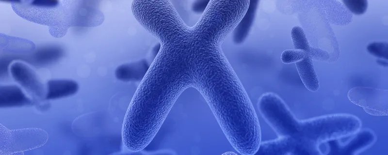 常见的单细胞生物有哪些