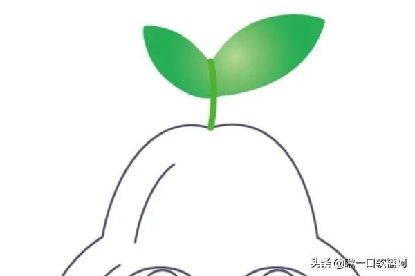 梨子简笔画图片设计?