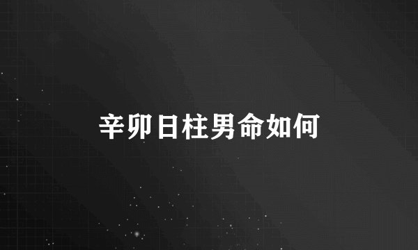 辛卯日柱男命如何