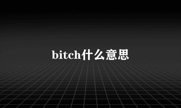 bitch什么意思