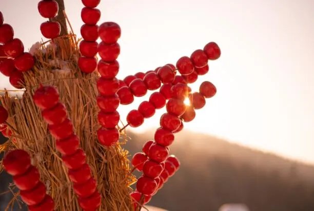 古代时冰糖葫芦是什么味的  古代时冰糖葫芦有哪些口味