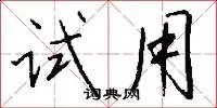 试用